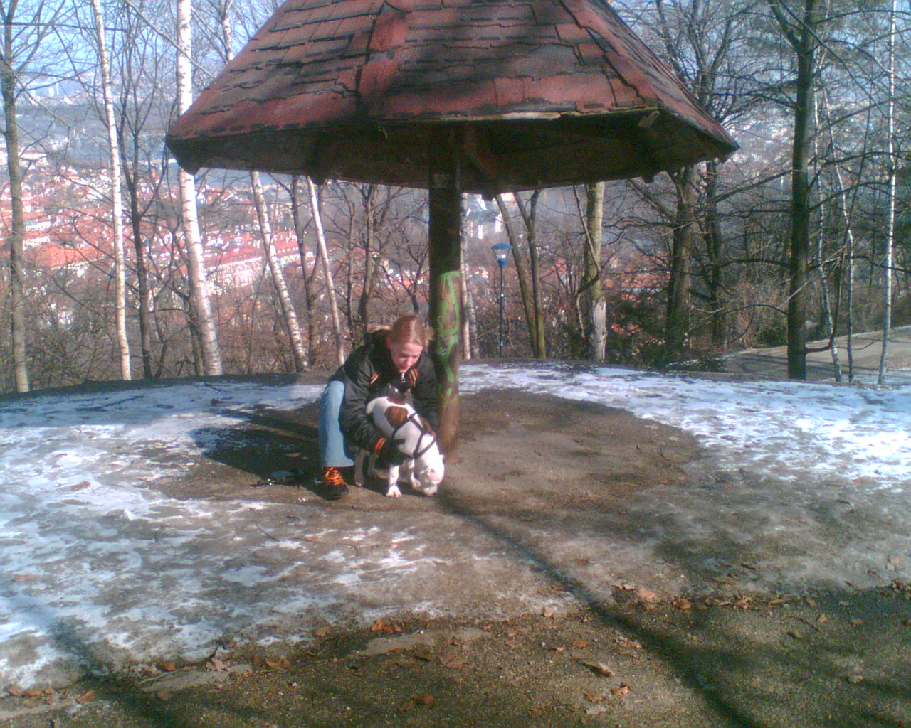 Obraz004.jpg