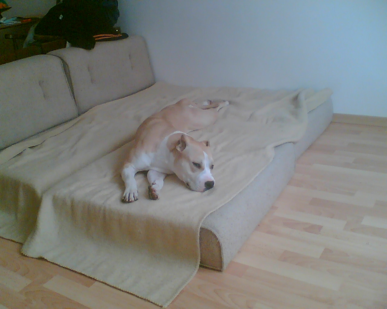 Obraz019.jpg