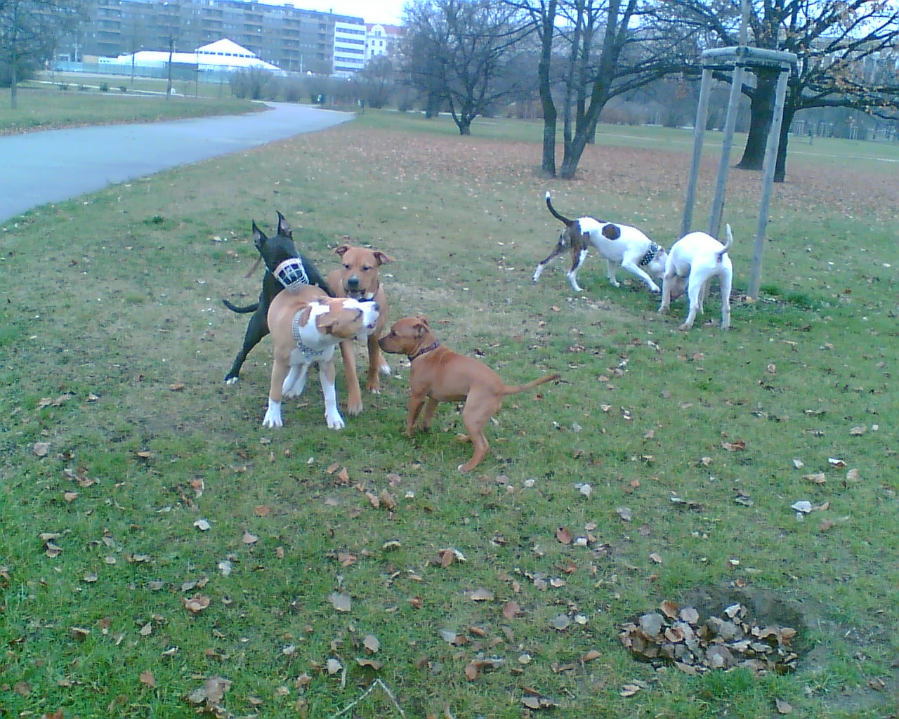 Obraz017.jpg