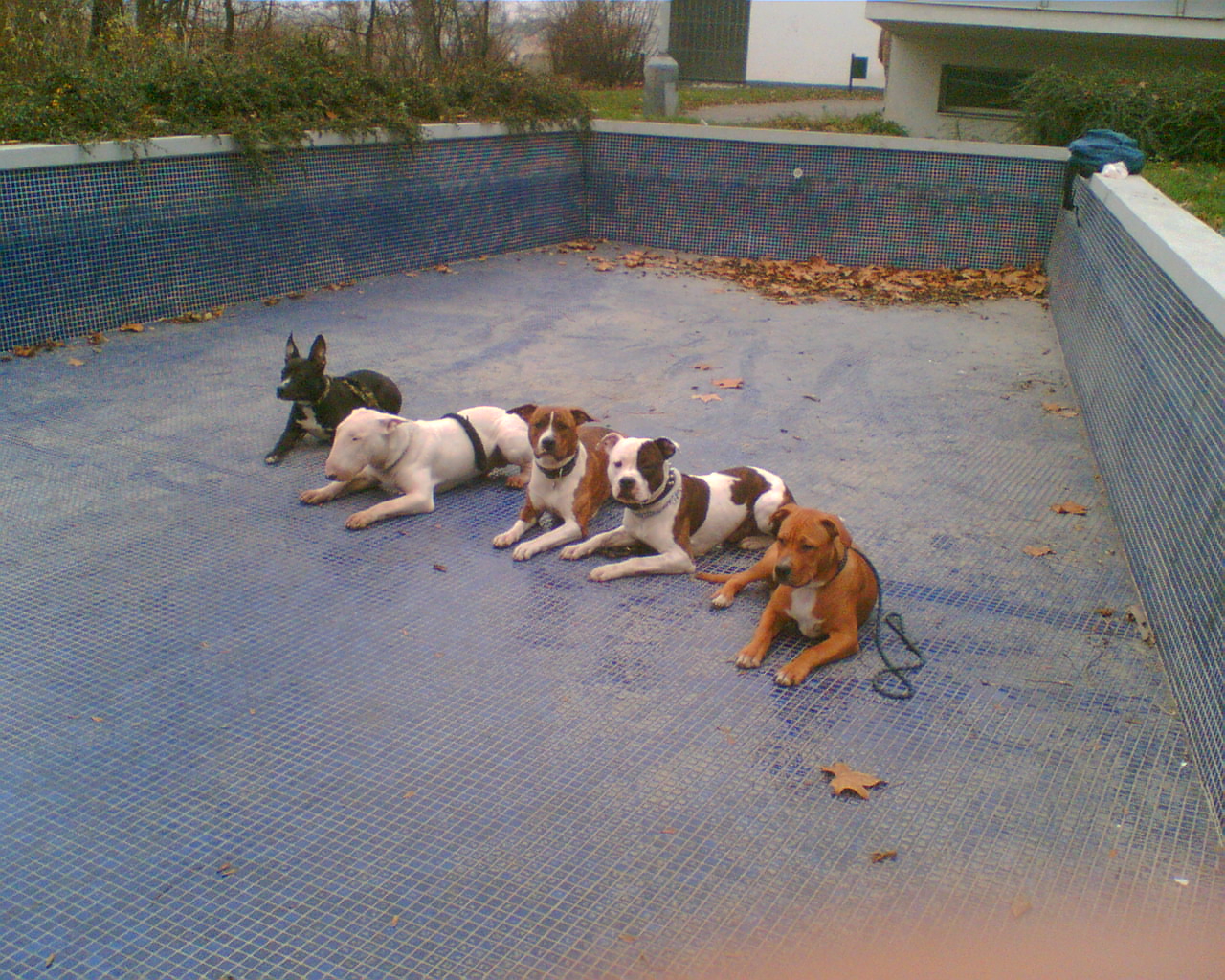 Obraz001.jpg