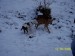 100_0841.JPG