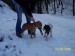100_0843.JPG