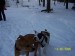 100_0859.JPG