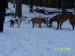 100_0861.JPG